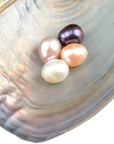 10 PC Freshwater Cultured Pearl Oyster Oval Pearls with White/Pink/Purple/Black, Birthday Gifts(7.5-8Mm)