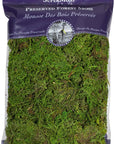 (25322) Forest Moss Preserved, Fresh Green, 8Oz