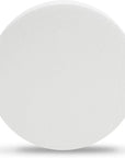 Craft Foam Disks, White Circles for Arts and DIY Crafts (10 X 2 In, 3 Pack)
