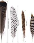 12Pcs Natural Pheasant Feathers 10-30Cm 4 Style Feathers Mixed Feathers for DIY Craft Wedding Home Party Decorations