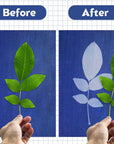 Sun Print Paper Kit, Cyanotype Paper, 30 Sheets Cyanotype Papers with 2 Sheet Acrylic Panel, High Sensitive Nature Sun/Solar Activated Sun Printing Art Paper for Flower Press Arts Crafts DIY Project