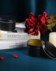 24 Pieces Black Candle Tins 4Oz, Candle Jars,Bulk Candle Containers for Candle Making,Storage Jars,Diy Candle Making (Black)