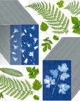 60 Sheets Sun Print Paper Cyanotype Paper Kit, A5 Sun Art Paper with 1 Plastic Tool for Sun Printing, Light Sensitive Solar Photography Paper for Kids DIY Crafts (5.8X 8.3 Inch)
