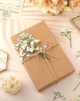 100 Pcs Dried Babys Breath Flowers Bulk Ivory White Babys Breath Real Pressed Flowers Natural Gypsophila Dried Flowers for Resin Wedding Art Craft DIY Invitations Scrapbooking Card Making