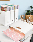 Foldable Scrapbook Paper Storage Organizer, 12X12 Scrapbook Paper Storage, Plastic File Organizer, White, 3 Pack