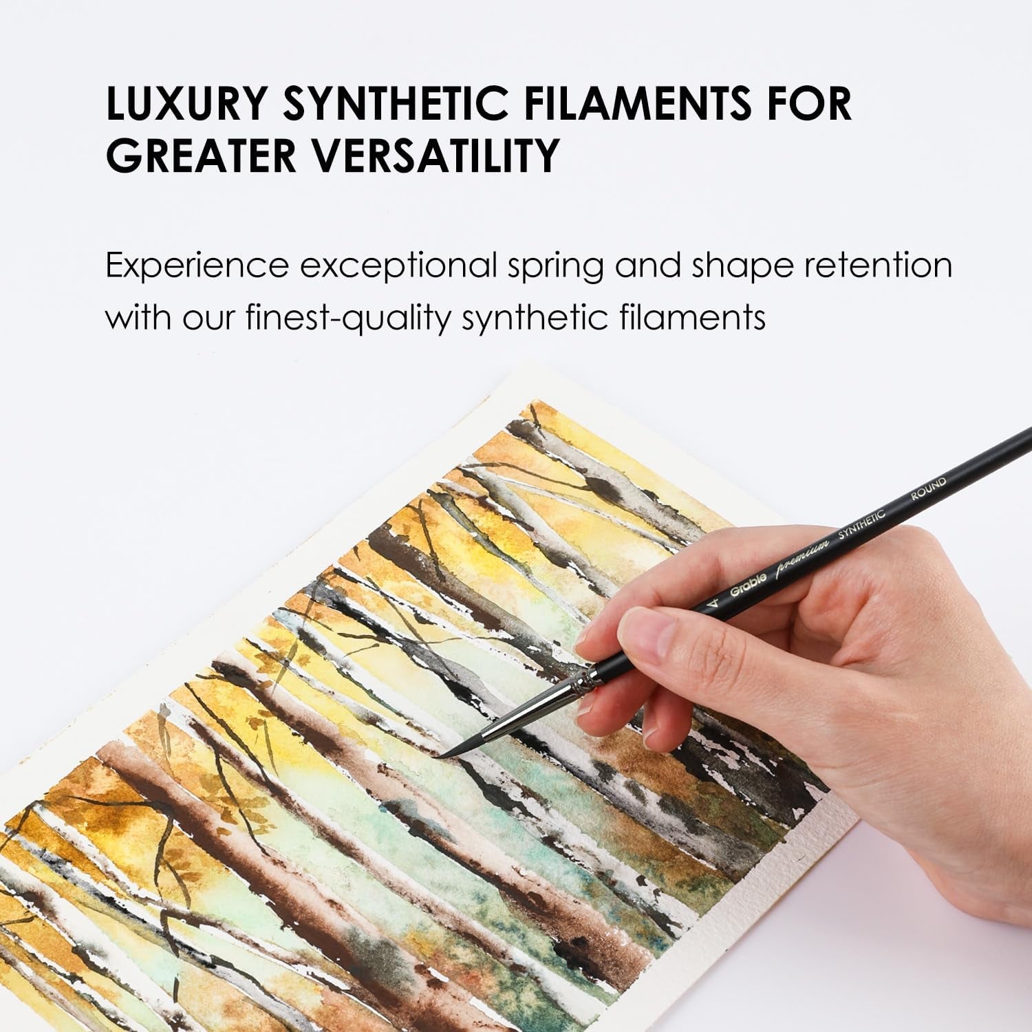 Professional Synthetic round Paint Brush Set of 5,Watercolor Paint Brushes, Art Supplies for Painting, round Pointed Tip Soft Anti-Shedding,Detail Artist Paint Brush