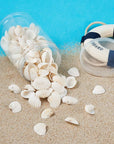 Box of 117Pcs Natural Clam Shell Pendants 21.5-24.5X8.5-11.5 Beach Ocean Seashell Beads Charms for Vase Filler Fish Tank Jewelry Making Hole:1.5-1.6Mm
