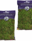 (25322) Forest Moss Preserved, Fresh Green, 8Oz