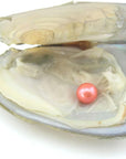 10PC Freshwater Pearl Cultured Love Wish Pearl Oyster with round Pearl inside for Pearl Gift Fun for Children Family Friends Party Oyster with Pearls Inside(6-8Mm, 10PC)