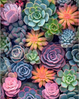 Succulent Paint by Numbers Kits for Adults Beginners-Succulent Plant Paint by Number for Adults,Easy Canvas Paint by Numbers for Adults for Home Wall Decoration and Gifts 16X20 Inch