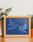 60 Sheets Sun Print Paper Cyanotype Paper Kit, A5 Sun Art Paper with 1 Plastic Tool for Sun Printing, Light Sensitive Solar Photography Paper for Kids DIY Crafts (5.8X 8.3 Inch)