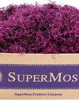 (27013 Spanish Moss Preserved, Violet, 3Lbs