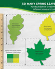 120 Pieces Spring Leaf Paper Cutouts with IDEA GUIDE, 2-Sided US Made Card Stock Punch Out Maple, Oak, and Birch Leaves for Bulletin Boards, Classroom Decor, Spring Crafts, DIY Scrapbook, and Posters