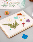 Flower Press Kit, Large Wooden Flower Pressing Kit for Adults Kids, 6 Layers 6.3 X 8.3 Inch Flower Press Leaf Pressing Kit to Making Dried Plants, DIY Flower Preservation Kit Crafts