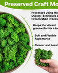 Preserved Moss - 3.5 OZ Moss for Crafts Faux Moss Decor Natural Green Moss DIY Art Wall Floral Moss Terrariums Gardenning Decor Wedding Easter Table Home Office Art Landscape Garden Decoration