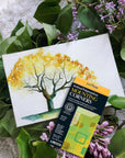 Archival Polypropylene Mounting Corners, Self Adhesive Clear Photo Corners, Acid-Free, 1.25 Inches, Mounting Artwork, Photographs, Documents.