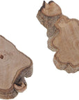 30Pcs Irregular Wood Log Slices Natural Tree Decorative Embellishments