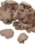30Pcs Irregular Wood Log Slices Natural Tree Decorative Embellishments