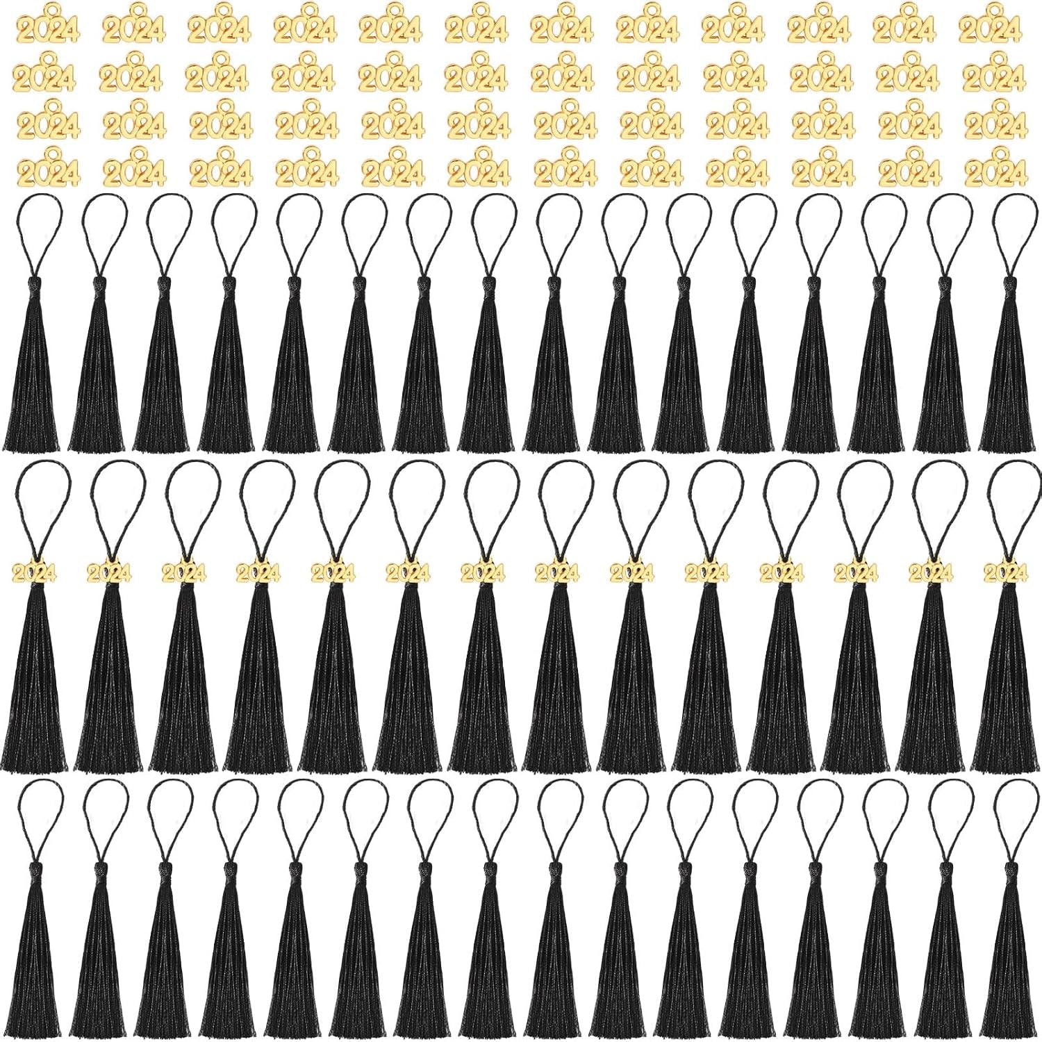 Preschool Graduation Tassels, 120Pcs Mini Graduation Tassels with 120Pcs 2024 Year Charms for Graduation Cap Keychain Jewelry Making, Bookmark Tassels for DIY Crafts Ornaments Project, Black