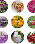 9 Bags Dried Flowers,100% Natural Dried Flowers Herbs Kit for Soap Making, DIY Candle Making,Bath - Include Rose Petals,Lavender,Don'T Forget Me,Lilium,Jasmine,Rosebudsand More