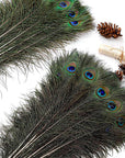 20Pcs Natural Peacock Feathers Long Pole Bulk 40-45 Inch for DIY Craft, Wedding Holiday Decorationn and Floral Arrangement