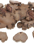 30Pcs Irregular Wood Log Slices Natural Tree Decorative Embellishments