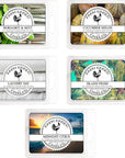 Fresh & Clean - Wax Melts 5 Pack - 1 Pound of Wax - 100% Soy Melts American Made Bergamot Mint, Cucumber Melon, Laundry Day, Island Fresh, Midnight Citrus Cubes. Wax Melt Wax Cubes