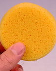 ® 10 Pack of 3-1/2 Inch round Synthetic Silk Sponges for Painting, Crafts, Ceramics, Household Use & More! Pack of 10 Sponges