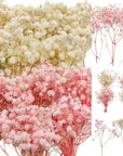50Pcs Mini Dried Baby'S Breath Flowers for Resin Art Craft DIY, 3000+ Natural Ivory White Bulk Flowers, Pressed Gypsophila Bouquet Present for Valentine'S Day, Wedding Wreath, Card Making, Home Decor