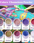 Chameleon Mica Powder, 10 * 5G Color Shifting Mica for Epoxy Resin/Tumbler, Saturated Chrome Pigment for Oil Painting,Slime,Nails