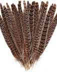 27Pcs 25-30Cm Natural Pheasant Feathers for DIY Craft Wedding Home Party Decorations