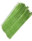100PCS 18Ga Floral Stem Wires,Green Crafting Floral Stem Wire for DIY Crafts and Flower Arrangement 14 Inches,Paper Covered
