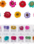 4 Boxes Dried Flowers for Resin, 48 Styles Natural 3D Applique Flowers DIY Craft Supplies, Resin Epoxy Casting Fillers for Silicone Molds, Nail Arts, Handmade Projects, Decoration Accessories