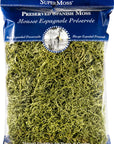 (26968) Spanish Moss Preserved, Chartreuse, 8Oz (200 Cubic Inch)