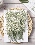 100 Pcs Dried Babys Breath Flowers Bulk Ivory White Babys Breath Real Pressed Flowers Natural Gypsophila Dried Flowers for Resin Wedding Art Craft DIY Invitations Scrapbooking Card Making