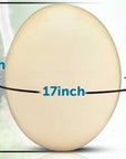 Premium Ostrich Eggshell (Grade A, Large Size)