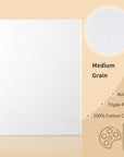 6 Pack 8 X 10 Inch Artistry Canvas Boards Cotton Stretched Canvas 5/8 Inch Profile for Beginners and Artists for Artists Painting, Acrylic and Oil Painting