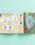 Animal Rock Painting Box Set - DIY Rock Painting for Adults - Rocks, Brush, Paint Included - Mandala Stone Artist - Create Rock Artwork at Home - Arts and Craft for Adults - Adult Hobbies