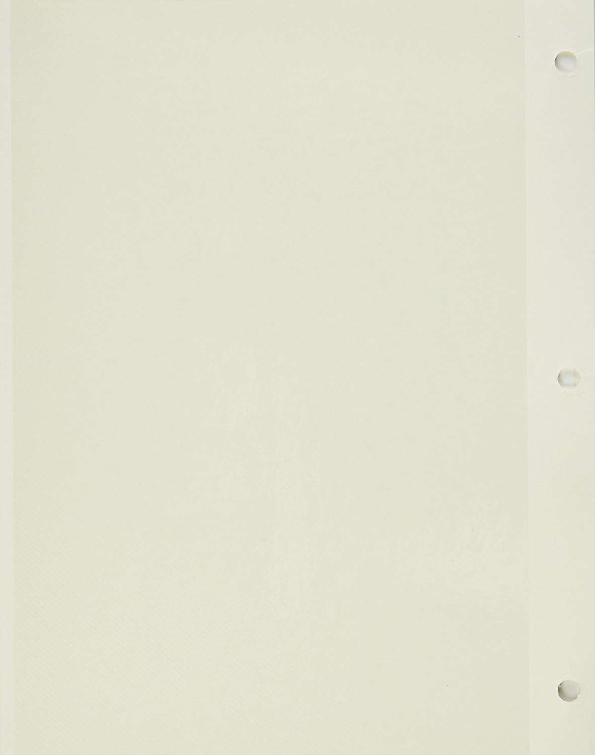 Refill Pages for LM-100, LM-100D and LM-100W Photo Albums, 10 Pages (5 Sheets), White Backing