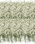 100 Pcs Dried Babys Breath Flowers Bulk Ivory White Babys Breath Real Pressed Flowers Natural Gypsophila Dried Flowers for Resin Wedding Art Craft DIY Invitations Scrapbooking Card Making