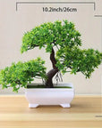 Small Bonsai Tree