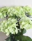 200 Pcs 16 Inch 22 Gauge Dark Green Floral Stem Wire,Flower Making Accessory Perfect for DIY Bouquet Stem Wrapping and Crafts