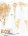 50Pcs Mini Dried Baby'S Breath Flowers for Resin Art Craft DIY, 3000+ Natural Ivory White Bulk Flowers, Pressed Gypsophila Bouquet Present for Valentine'S Day, Wedding Wreath, Card Making, Home Decor
