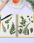 42 Pieces Dried Pressed Leaves Dried Flowers for Resin Real Assorted Dried Greenery for Pressed Leaf Art Craft DIY Embellishment Decorations, 7 Styles