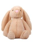 Lop-Eared Rabbit Plush Toy