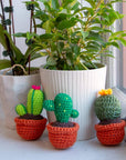 - Crochet Kit for Beginners to Intermediate | Cactus DIY Crochet Amigurumi - Crochet Kit Include Pattern, Yarn, Crochet Hook, Stuffing and Knitting Needles