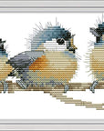 Cross Stitch Kits, Three Birds Easy Patterns Cross Stitching Embroidery Kit Supplies Christmas Gifts, Stamped or Counted (Birds, Counted)