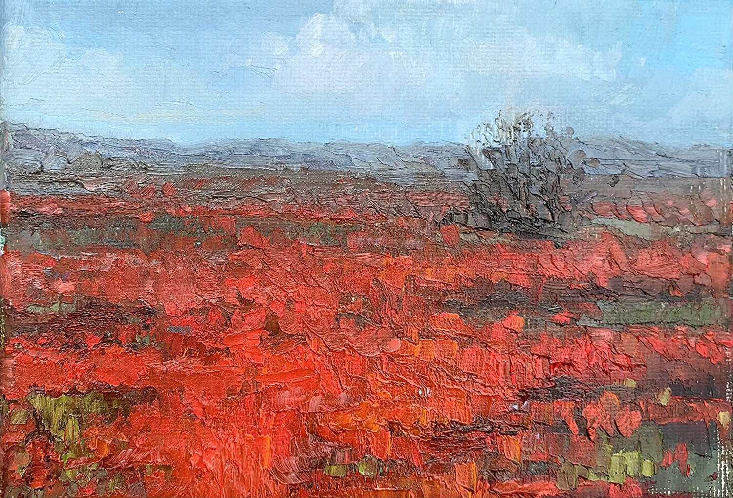 Premium Oil Paint - Set 12 Colors, Maximum Strength Pigmented Oil Paints for Professionals, Students,