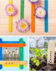 60 Pieces Jumbo Craft Sticks, 8 Inch Natural Wooden Popsicle Sticks, Multi-Functional Ice Cream Sticks for Crafts, Tongue Depressors, Hair Removal and Waxing Sticks, Plant Labels, DIY Classroom Crafts