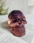 Skull Silicone Molds, 3D Extra Large Skeleton Skull Epoxy Resin Molds for Casting Arts Crafts, Home Decor, Parties and Holidays